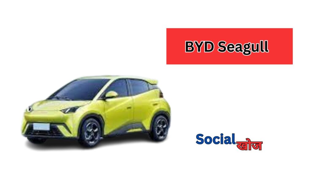 BYD Seagull in India 2024